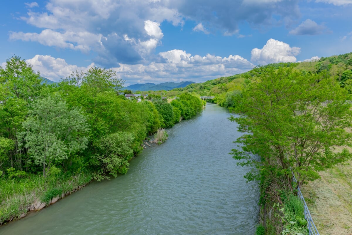 クロフォード公園の写真4