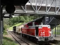 クロフォード公園