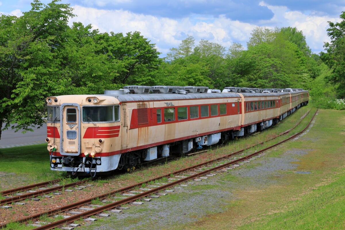 クロフォード公園の写真7