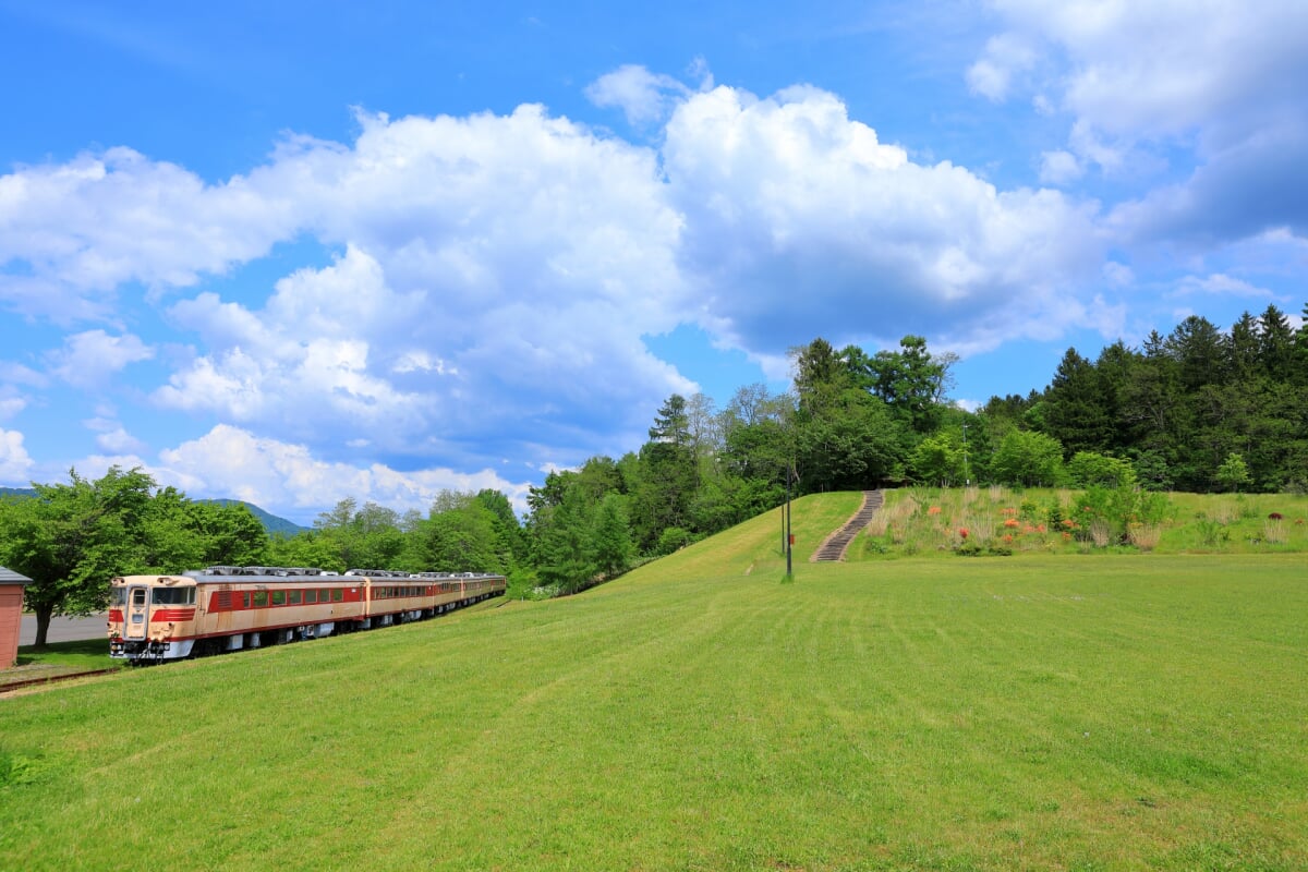 クロフォード公園の写真1