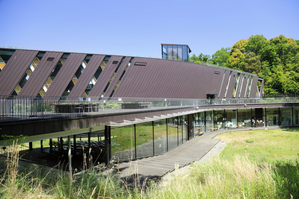 豊田市自然観察の森の写真1