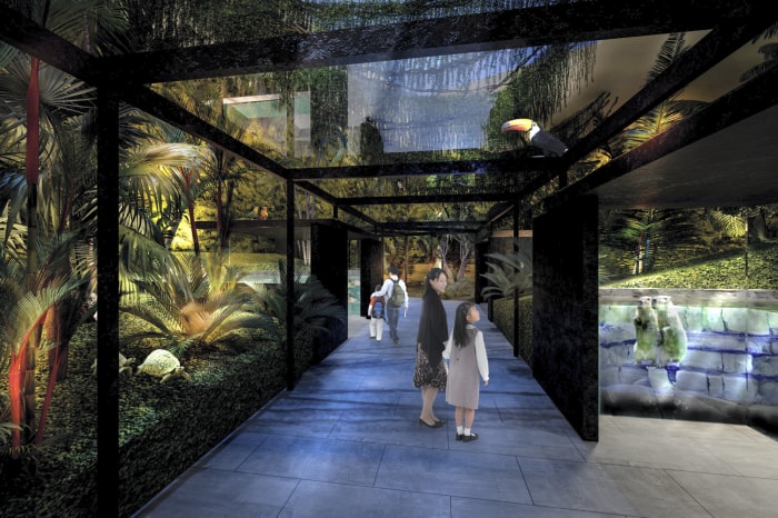 カワスイ 川崎水族館の写真2