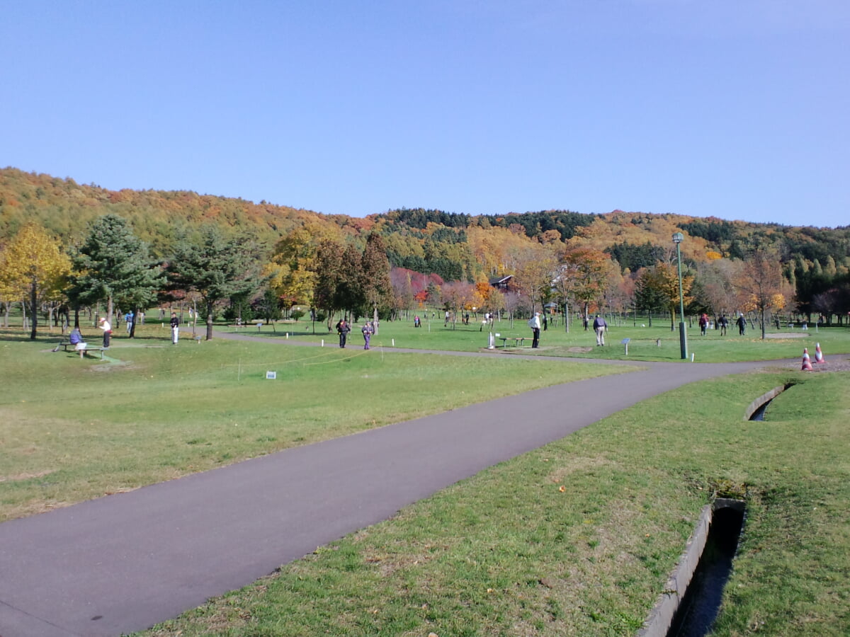 いわみざわ公園の写真8