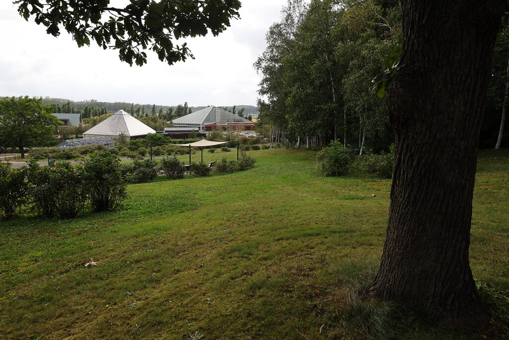 いわみざわ公園の写真9