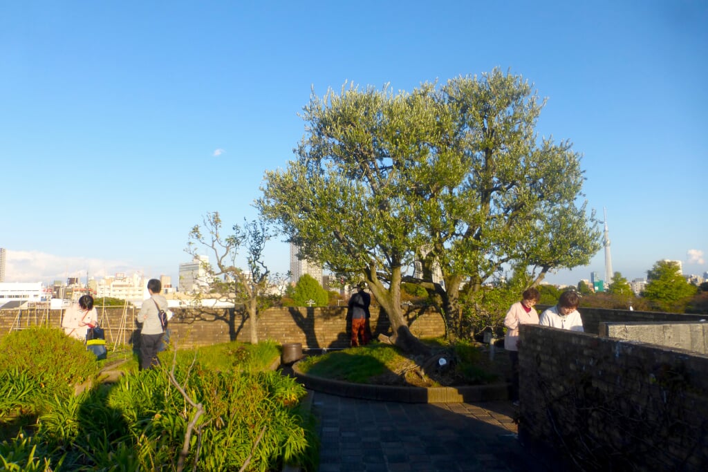 朝倉彫塑館の写真3