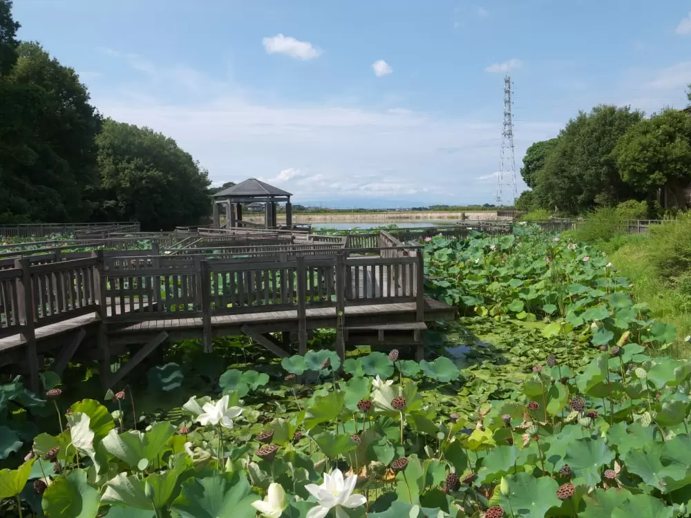 長池オアシスの写真1