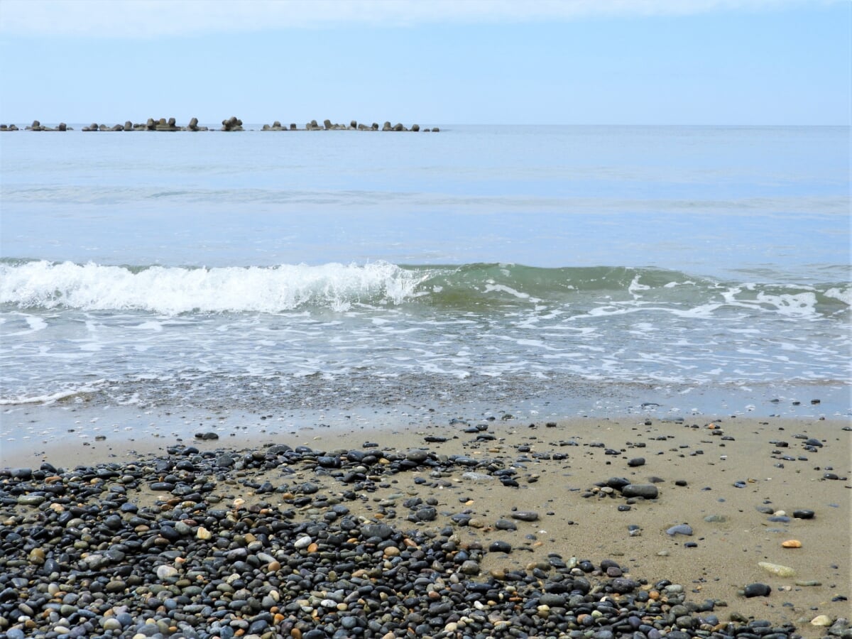 安宅海浜公園の写真6