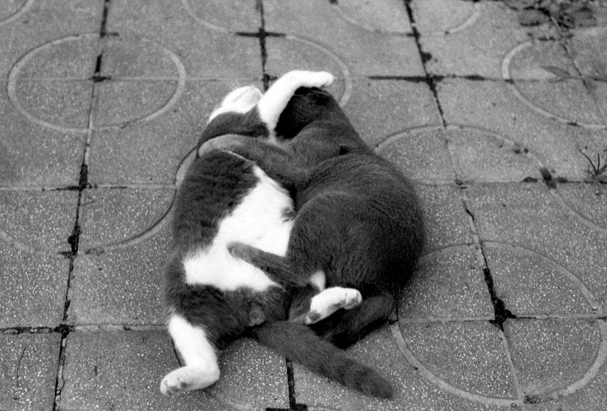 日和山公園の写真2