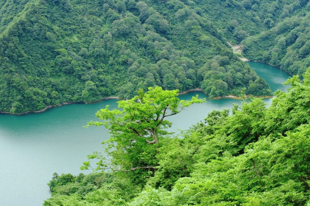 田子倉ダムの写真3