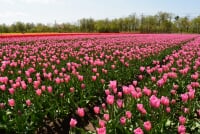 長池憩いの森公園