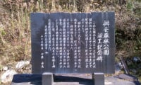 桝安森林公園