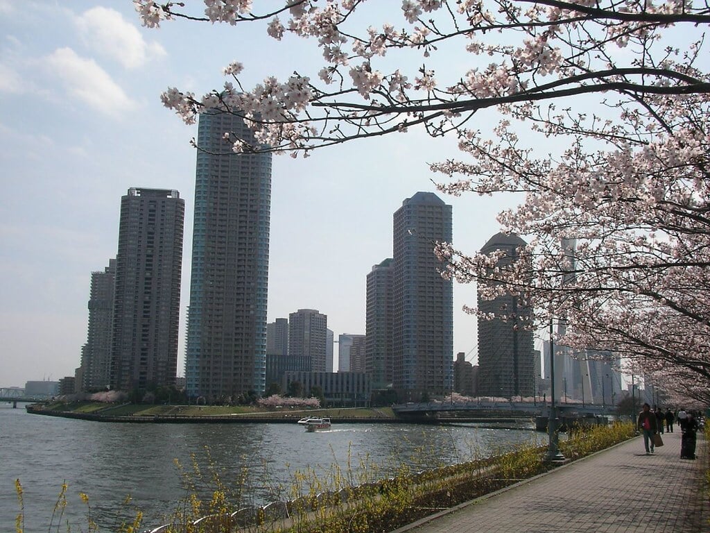 新川公園の写真9