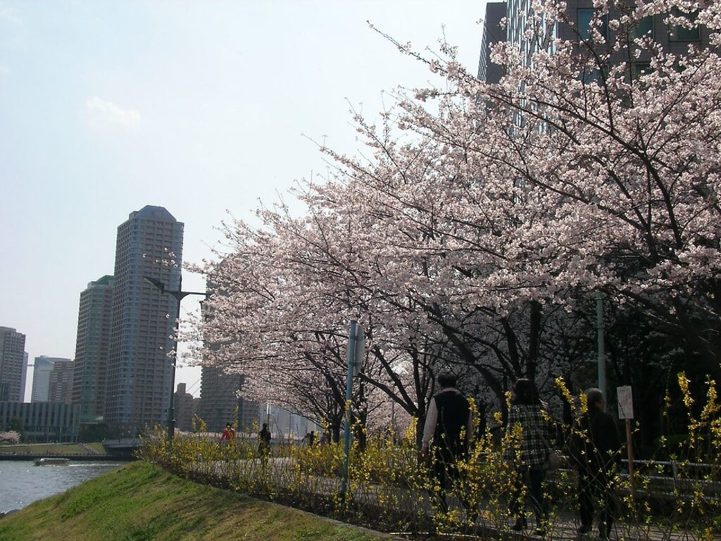 新川公園の写真1