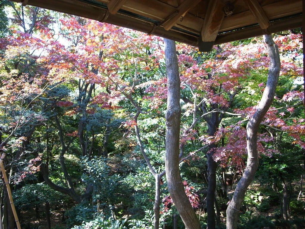 旧朝倉家住宅の写真7