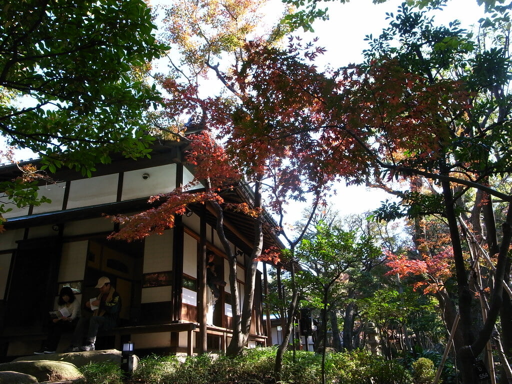 旧朝倉家住宅の写真10