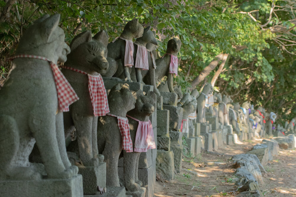 高山稲荷神社の写真2