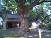 長者山新羅神社