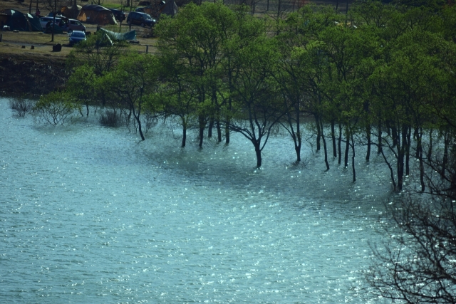 白川湖・ダムの写真2