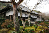 常寂光寺