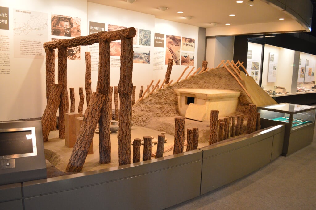 吹田市立博物館の写真3