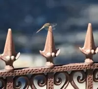 駒ヶ根市郷土館