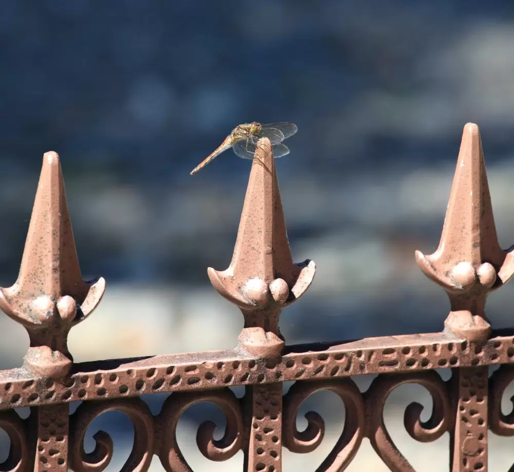 駒ヶ根市郷土館の写真1