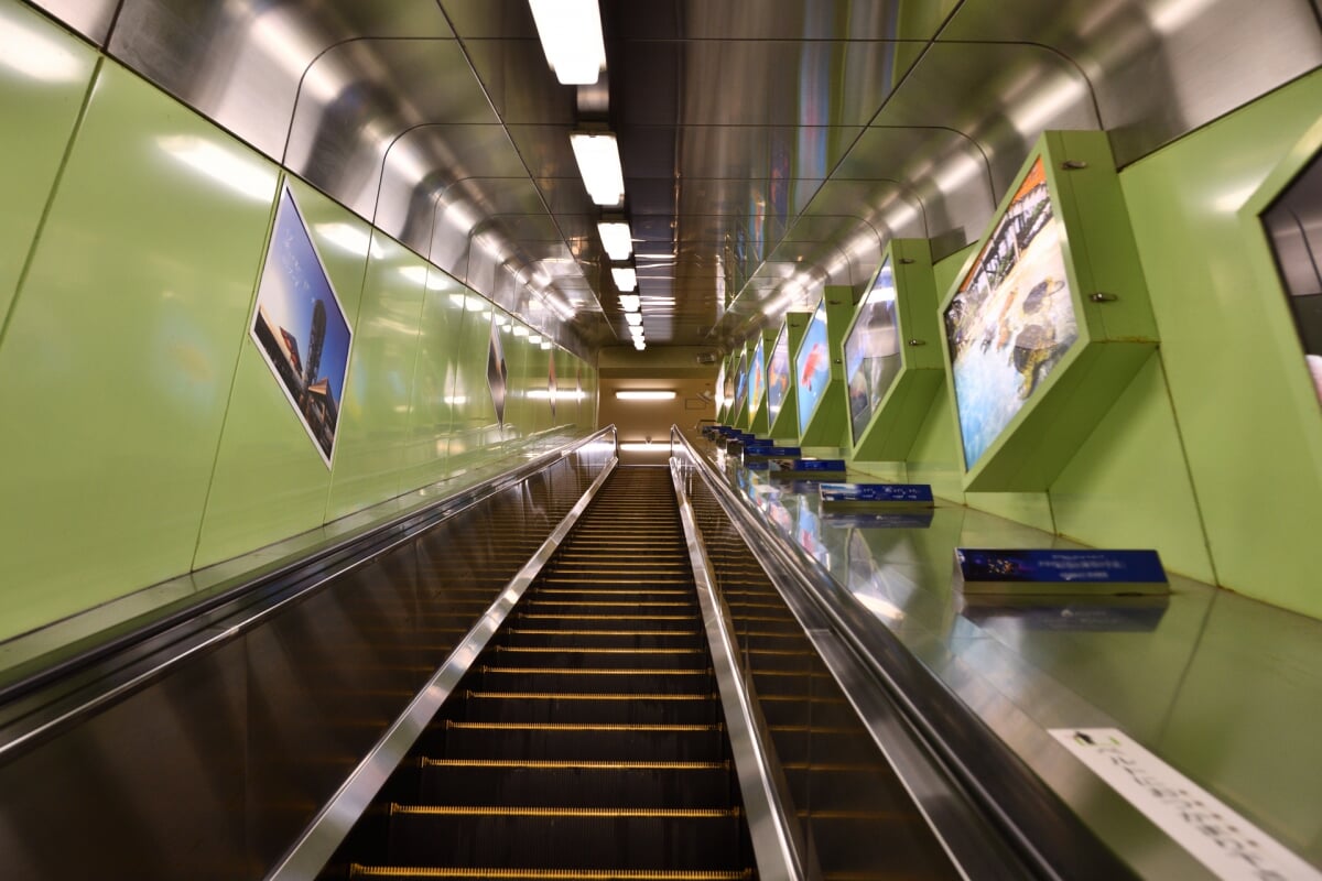 江の島エスカーの写真2