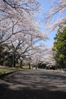 つま恋リゾート 彩の郷