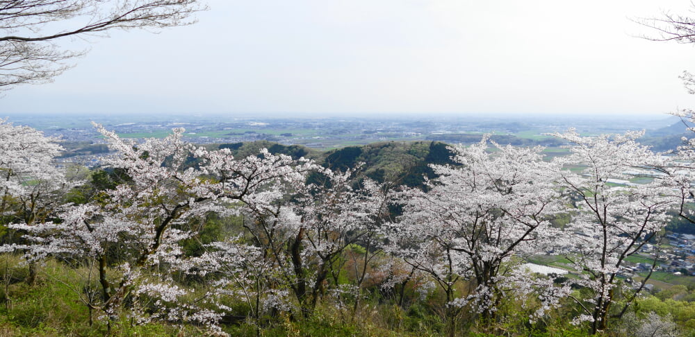 太平山県立自然公園の写真2