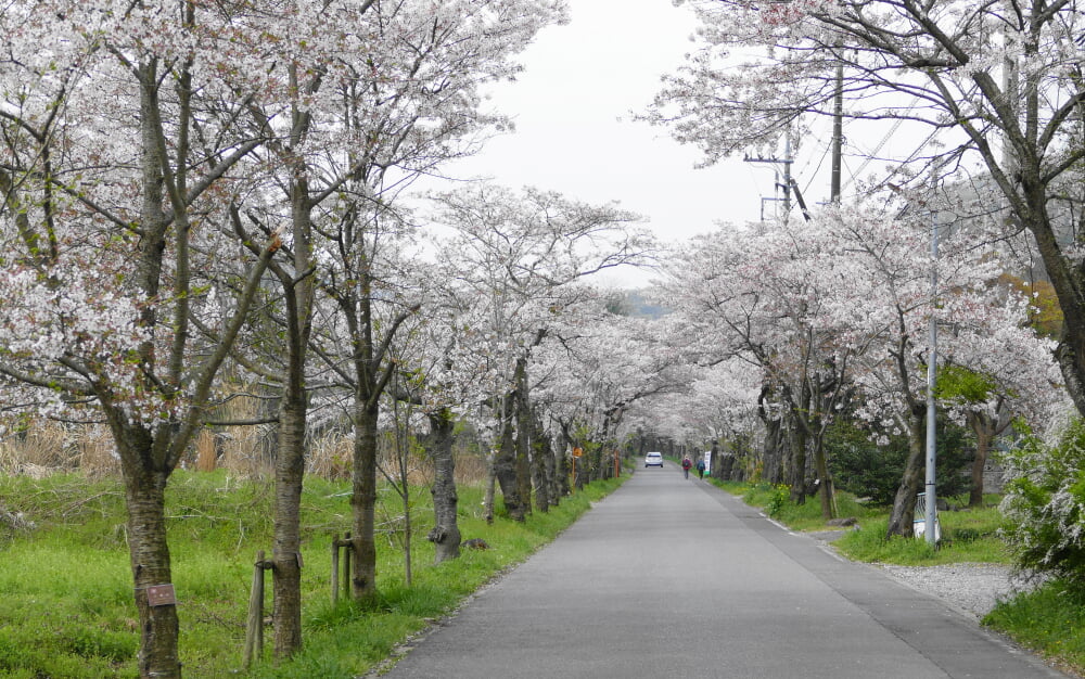 太平山県立自然公園の写真1
