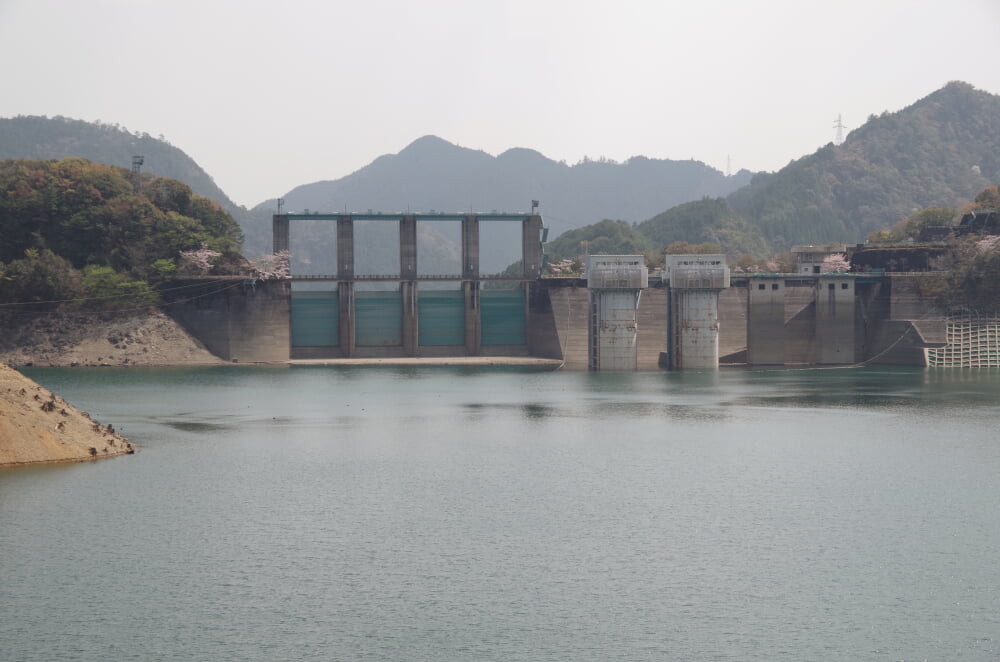 池原ダムの写真1