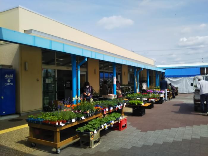 道の駅 風のマルシェ 御前崎の写真4