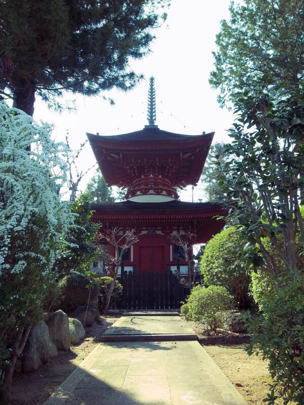 久米寺の写真2