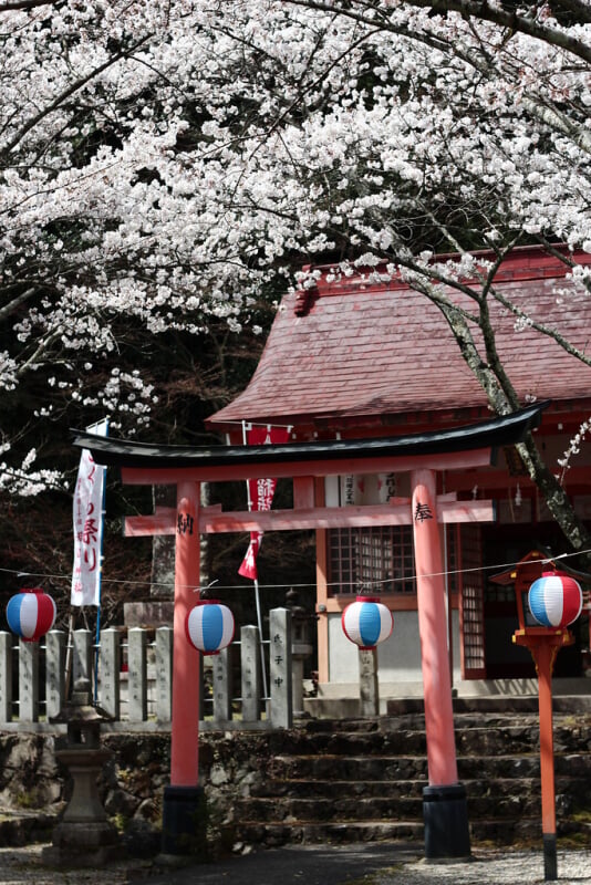 若山神社の写真4