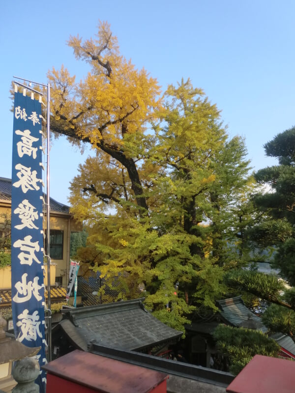 高塚愛宕地蔵尊の写真2