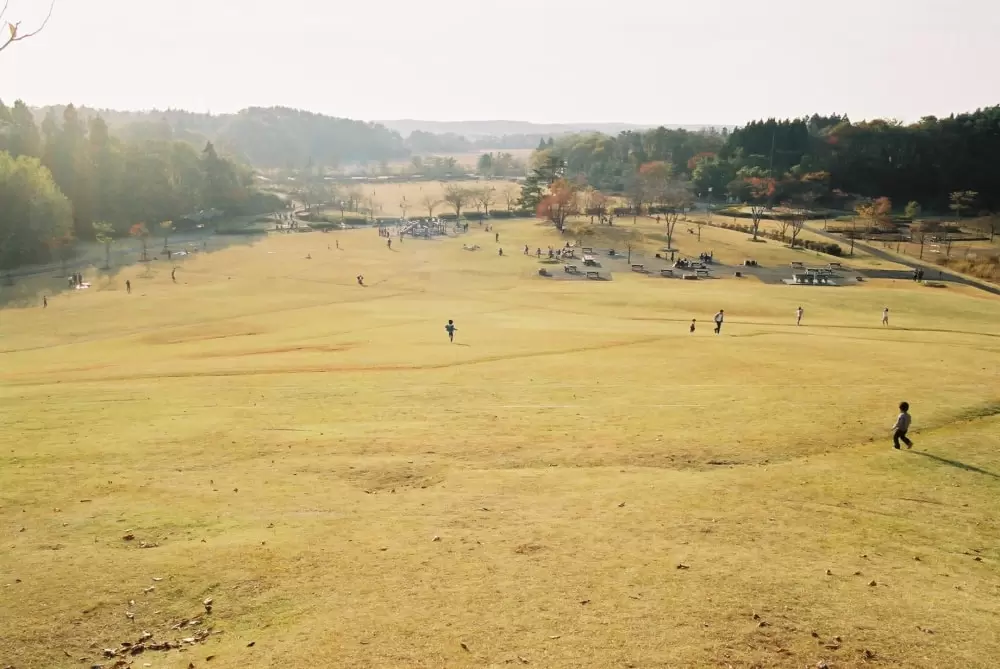 秋田県立小泉潟公園の写真1