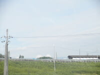 里脇観光ブドウ園