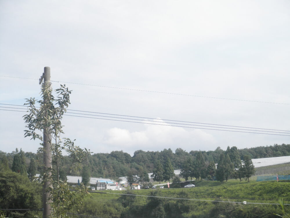 里脇観光ブドウ園の写真2