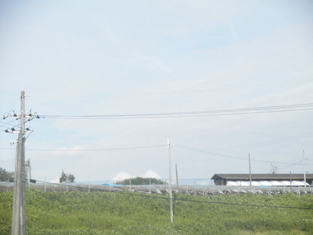 里脇観光ブドウ園の写真1