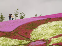 大森リゾート村