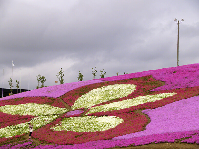 大森リゾート村の写真5