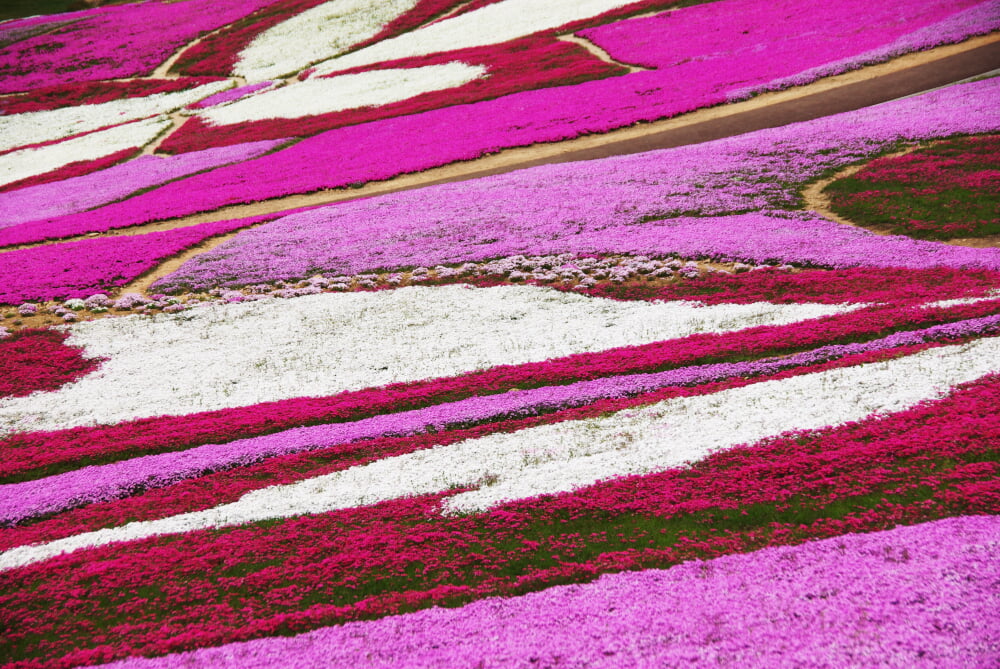 大森リゾート村の写真6