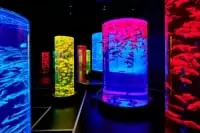 アートアクアリウム美術館