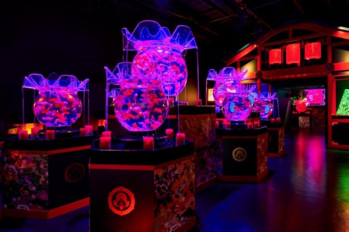 アートアクアリウム美術館の写真9