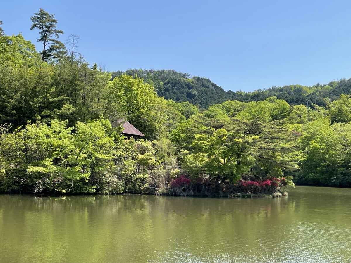 井手町野外活動センター 大正池グリーンパークの写真1