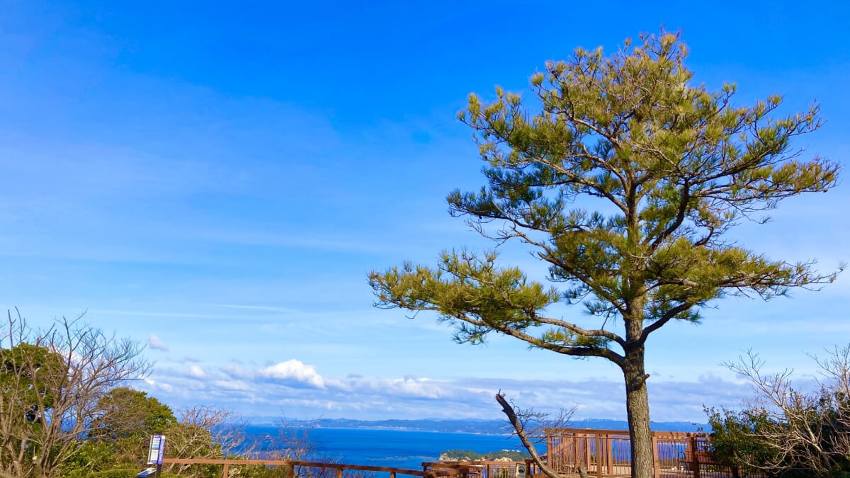 平草原展望台の写真1