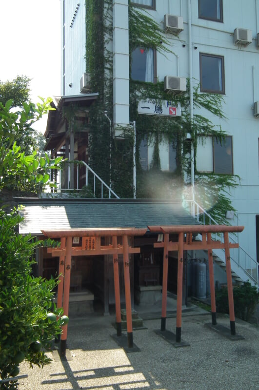 佐保神社の写真2