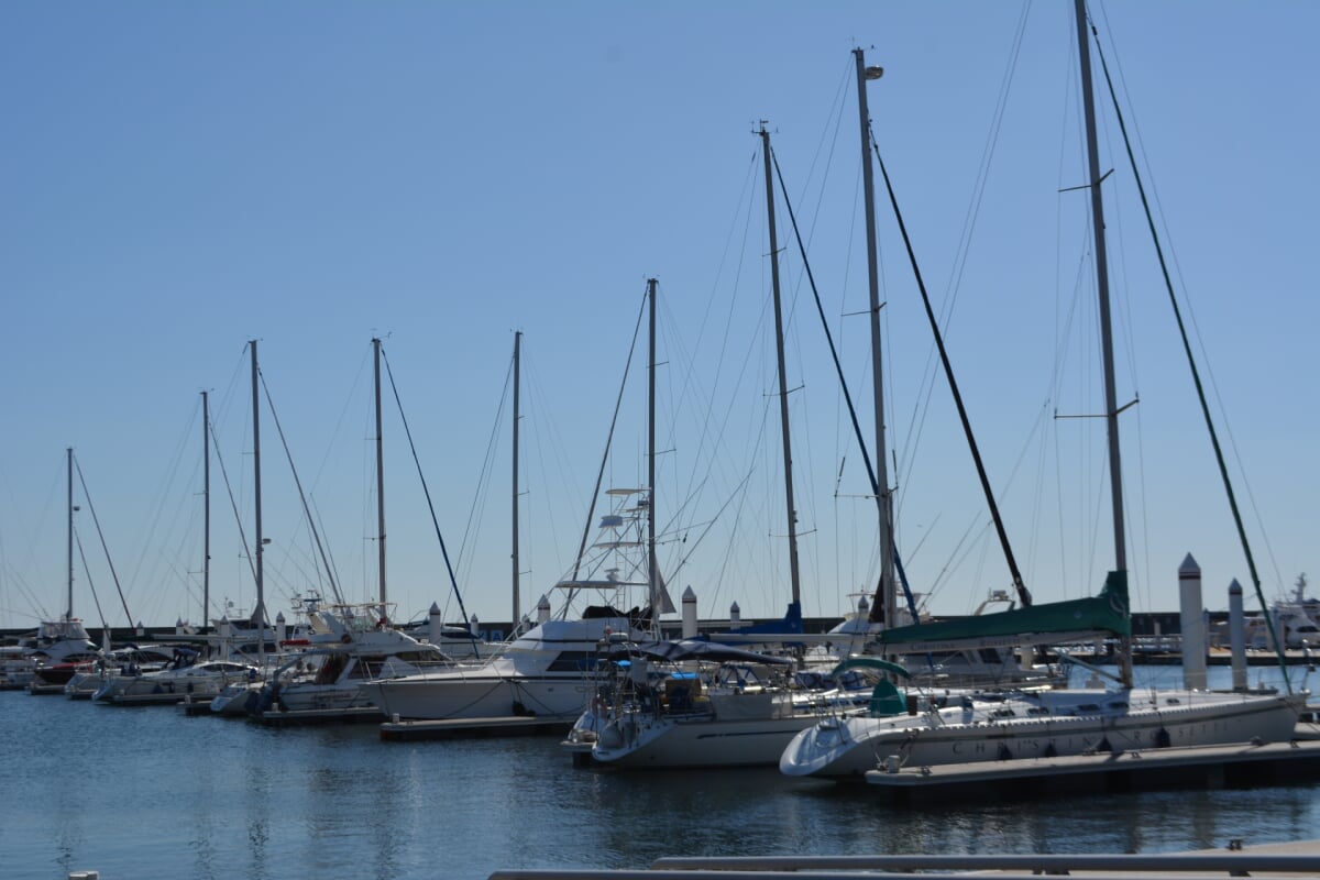 西宮マリーナの写真3