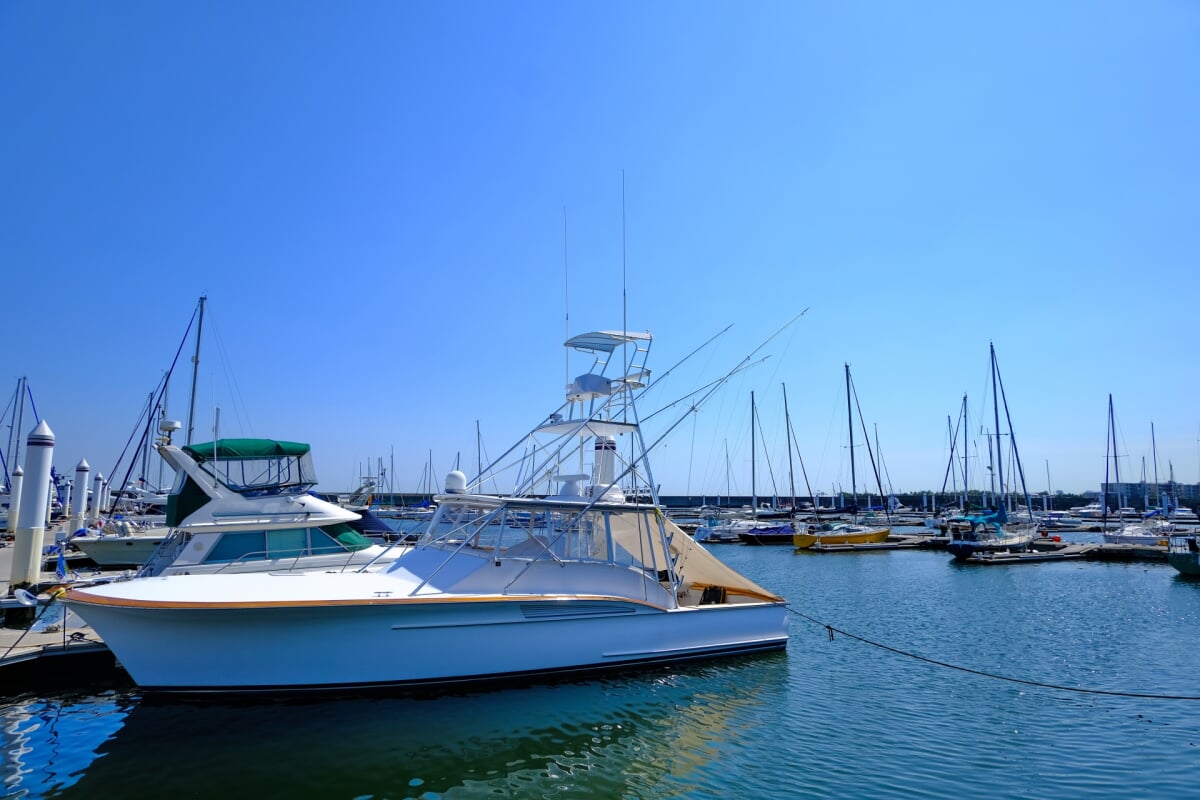 西宮マリーナの写真1