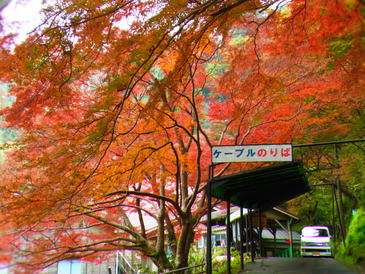 吉野山ロープウェイの写真7